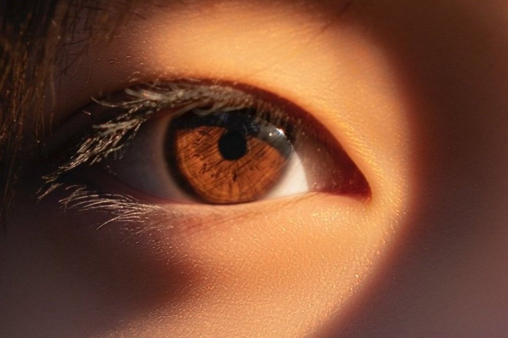 Contact lens fitting